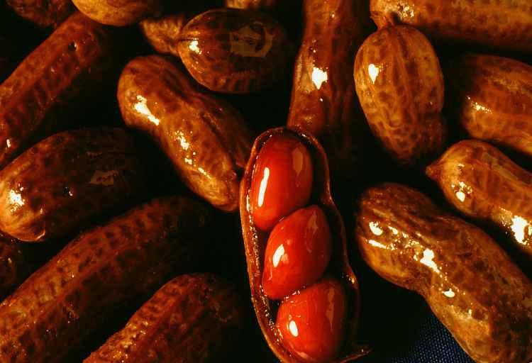 Are Boiled Peanuts Good For You