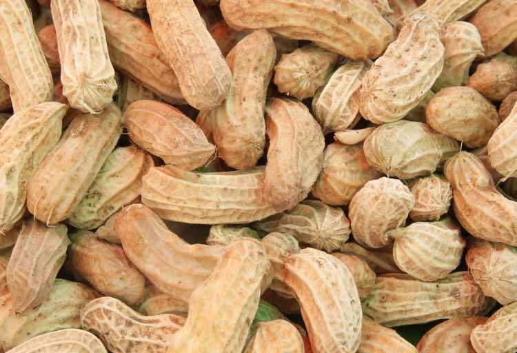 Are Ground Peanuts Healthy